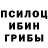 Псилоцибиновые грибы Psilocybe Mik Dude