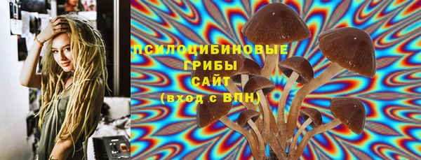 крисы Артём
