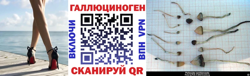 Псилоцибиновые грибы Magic Shrooms  Гвардейск 